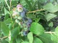 DSC00004