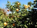 DSCN4033