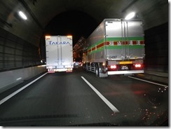DSCN0731