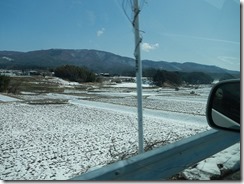 DSCN0734