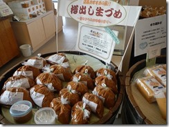 DSCN0740
