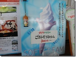 DSCN0747