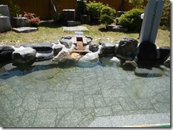DSCN8237