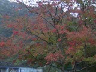 file_20051030T195305453 file_20051030T195305453