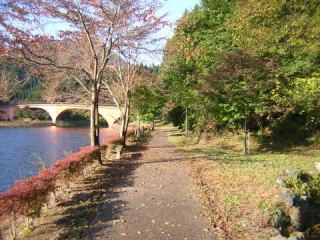 file_20051030T195306312 file_20051030T195306312