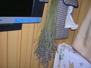 DSCN3267