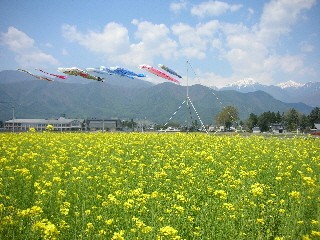 DSCN1778