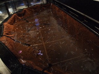 DSCF0802
