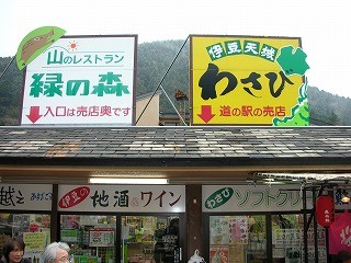 DSCN5258