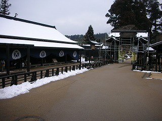 DSCN5295
