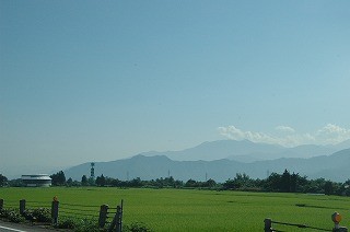DSC_7044
