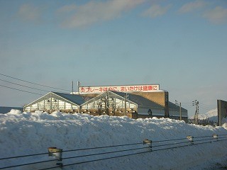 DSCN6219