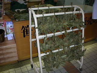 DSCN6233