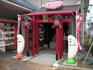 DSCN6256