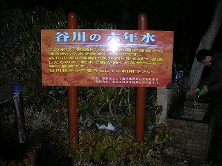 DSCN6259