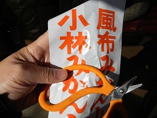 DSCN5132