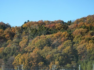 DSCN5125