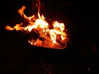 DSCN5166
